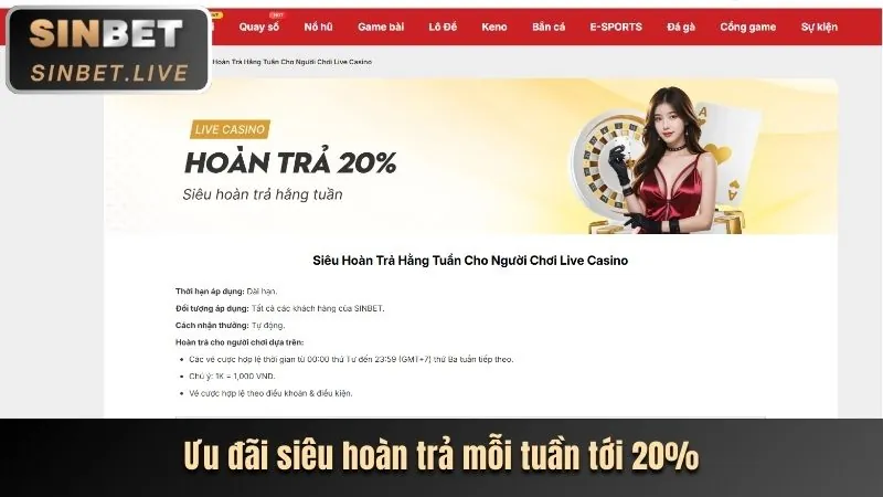 Quà tặng sinh nhật và sự kiện đặc biệt